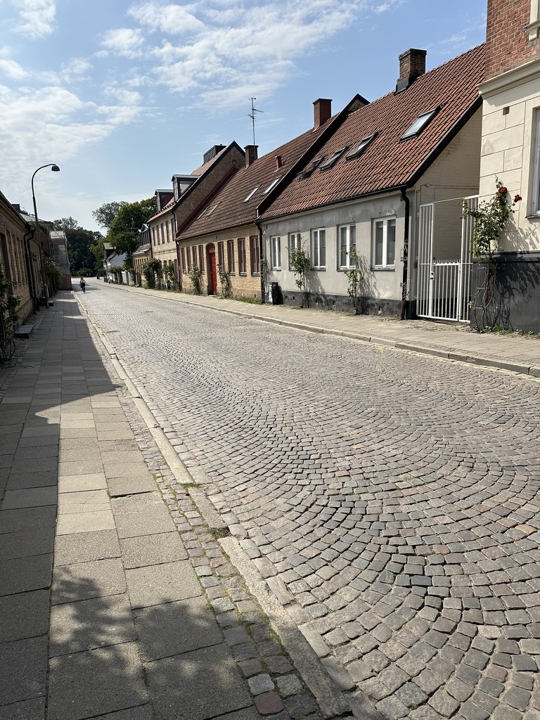 Cobblestone street with traditional houses in Lund